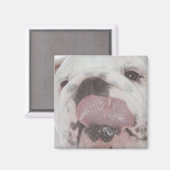 Bulldog 2 magneet (Voorkant / Achterkant)