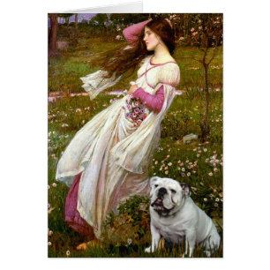 Bulldog 9 anglais - Fleurs à vent