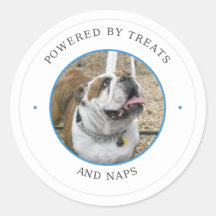 Bulldog aangedreven door Snacks en Slaapjes