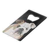 Bulldog anglais (Devant Angle)