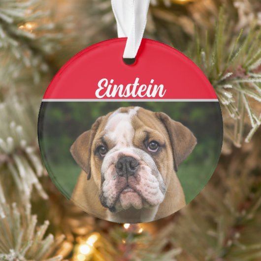 Bulldog anglais avec nom et photo Noël (Arbre)