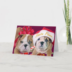 Bulldog Anglais Dans Les Cartes D'Attraction De No