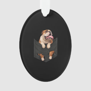 Bulldog Anglais Dans Votre Chien De Poche Amateurs