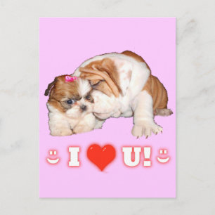 Bulldog anglais et Shih Tzu I LOVE YOU Cartes