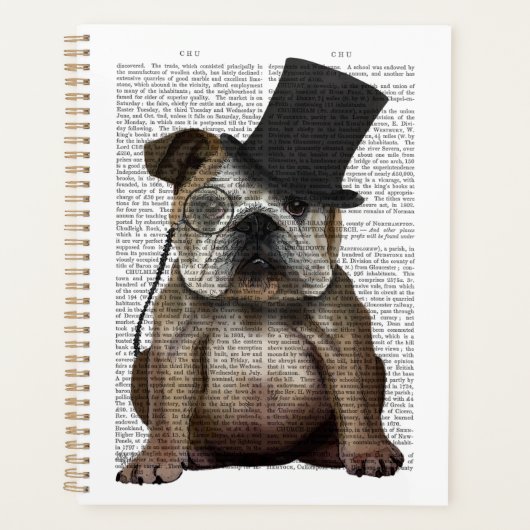 Bulldog anglais, Hound officiel et Casquette (Devant)