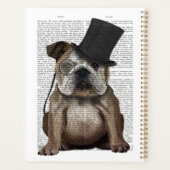 Bulldog anglais, Hound officiel et Casquette (Dos)