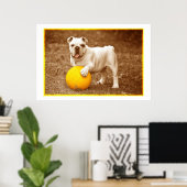 Bulldog Avec Poster À Balle (Bureau à domicile)