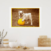 Bulldog Avec Poster À Balle (Cuisine)
