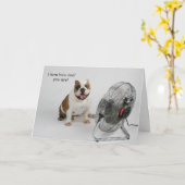 Bulldog Birthday card Kaart (Gele Bloem)