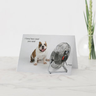 Bulldog Birthday card Kaart