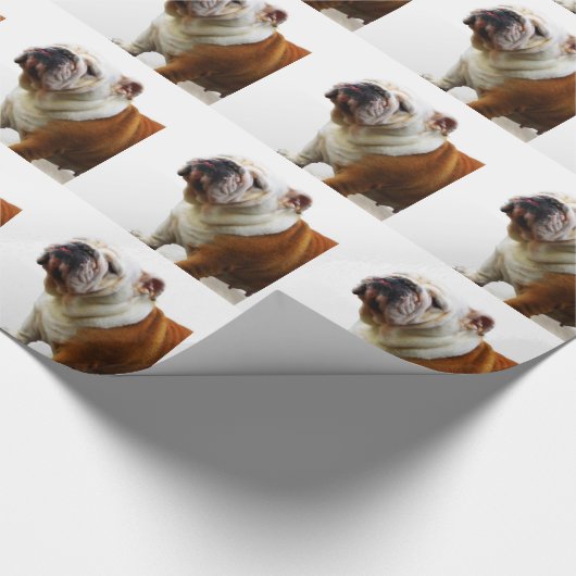 Bulldog Cadeaupapier (Hoek)