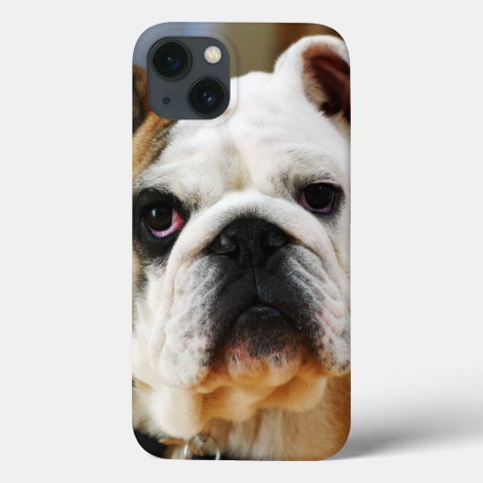 Bulldog Case-Mate iPhone Case (Achterkant)