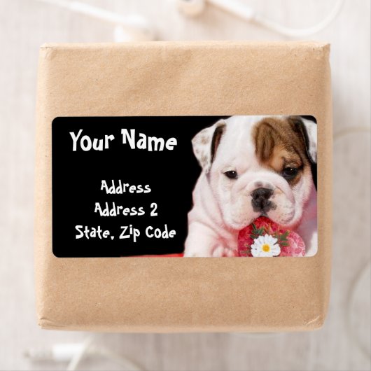 Bulldog chiot expédition Étiquettes (En situation)