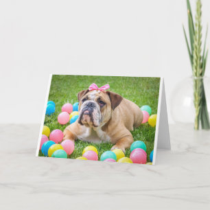 Bulldog Cute Easter Animal Dog Hundeportrait Pet Feestdagen Kaart