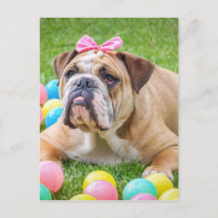 Bulldog Cute Easter Animal Dog Hundeportrait Pet Feestdagenkaart
