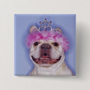 Bulldog draagt tiara vierkante button 5,1 cm