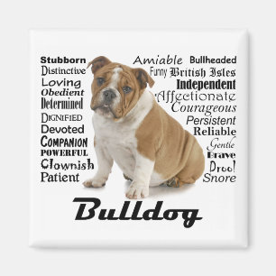 Bulldog eigenschappen magneet