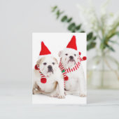 Bulldog Elves Briefkaart (Staand voorkant)