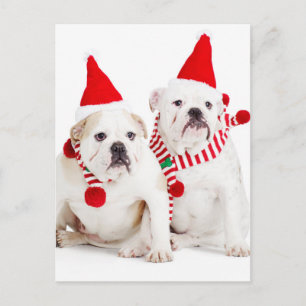 Bulldog Elves Briefkaart