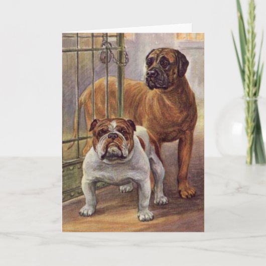 Bulldog et Mastiff Carte de voeux Vintage (Devant)