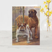 Bulldog et Mastiff Carte de voeux Vintage (Fleur jaune)