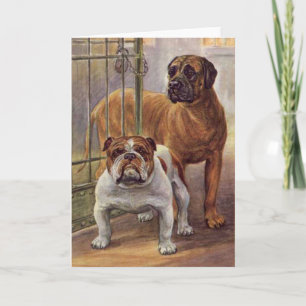 Bulldog et Mastiff Carte de voeux Vintage