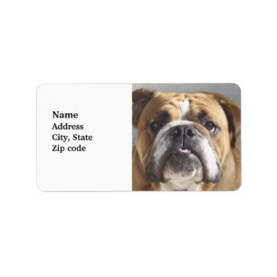 Bulldog Face - English Bulldog, Brown Etiket
