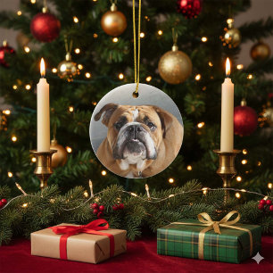 Bulldog Face - English Bulldog, Brown Keramisch Ornament