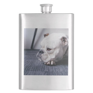 bulldog flacon
