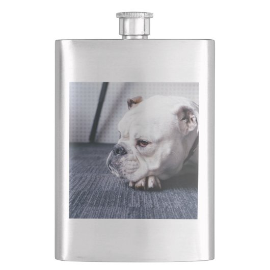 bulldog flacon (Voorkant)