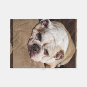 bulldog fleece goot deken
