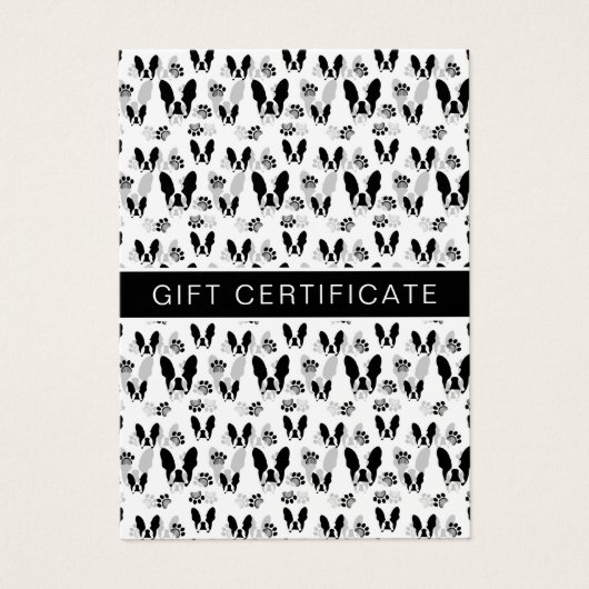 bulldog français (Devant)