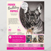 Bulldog français Flyer Violet (Devant)