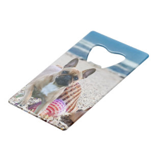 Bulldog français sur la plage