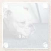 bulldog glazen onderzetter (Achterkant)