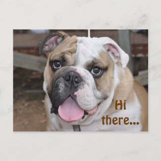 Bulldog "Hi daar"-Briefkaart Briefkaart