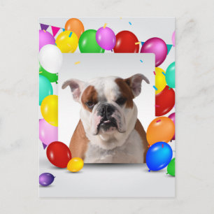 Bulldog Hond met kleurrijke Ballonnen Verjaardag T Briefkaart