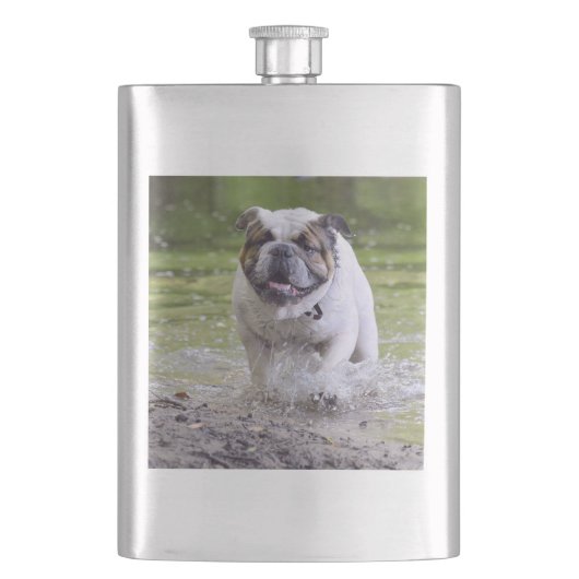 bulldog in het water flacon (Voorkant)