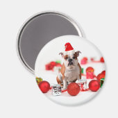 Bulldog kerstcadeau doos Ornamenten rode kerstmuts Magneet (Voorkant / Achterkant)