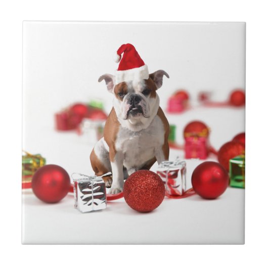 Bulldog kerstcadeau doos Ornamenten rode kerstmuts Tegeltje (Voorkant)