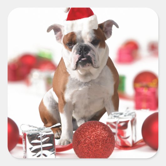 Bulldog kerstcadeau doos Ornamenten rode kerstmuts Vierkante Sticker (Voorkant)