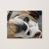 Bulldog Legpuzzel (Horizontaal)