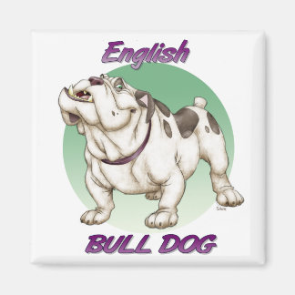 bulldog magneet