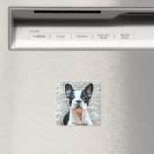 Bulldog magnet magneet (Insitu (Vaatwasser))