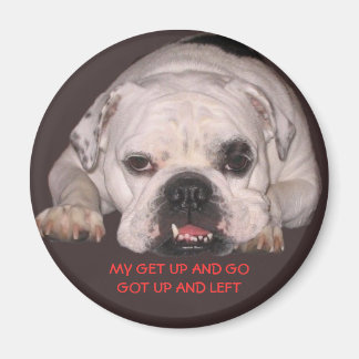 Bulldog Magnet Magneet