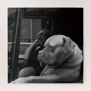 Bulldog Mastiff achter het stuur Zwart & Wit  Legpuzzel