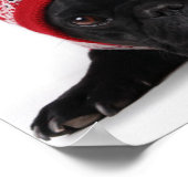 Bulldog met gekookte trui poster (Hoek)