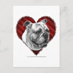Bulldog met hart briefkaart
