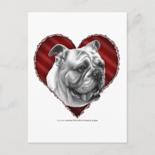 Bulldog met hart briefkaart (Voorkant)