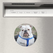 Bulldog Missy Magnet (In Situ (Lave-vaisselle))